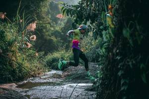 BIB: 
                            <button type="button" onclick="openModal(13716550)" class="btn btn-primary btn-sm float-right btn-popup" data-toggle="modal" data-target=".modal-high-quality">
                        <i class="fas fa-shopping-cart"></i> Add to Cart
                    </button>
                                            <button type="button" onclick="isThisMe(13716550, true)" class="btn btn-success btn-sm float-right btn-popup btn-isme hidden" data-toggle="tooltip" data-placement="bottom" title="นี่คือรูปของคุณใช่ไหม คลิกที่นี่เพื่อเอาเข้าอัลบั้ม">
                        <i class="fas fa-plus"></i> Add to album
                    </button>
                    <button type="button" onclick="isThisMe(13716550, false)" class="btn btn-warning btn-sm float-right btn-popup btn-isnotme hidden">
                        <i class="fas fa-ban"></i> Remove from album
                    </button>